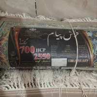 فرش۹متری|فرش|شاهرود, |دیوار