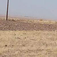 باغ تازه ساخت2کله4300مترلب جاده معاوضه