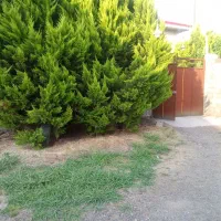 ویلایی-250-متر-زمین-90-متر-بنا-نزدیک-خیابان