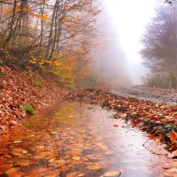 ۲۵۰متر زمین امتیاز اب برق گاز سر ملک قیمت کاسبی