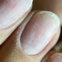 آموزش ناخن دو میلیون|خدمات آموزشی|اردبیل, |دیوار