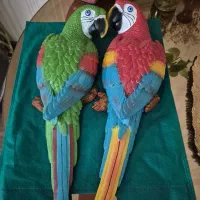 تعدادی دیوار کوب