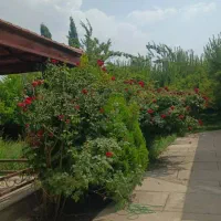 اجاره باغ ویلا در بهترین لوکیشن سپیدان سربست|اجارهٔ کوتاه‌مدت ویلا و باغ|سپیدان, |دیوار