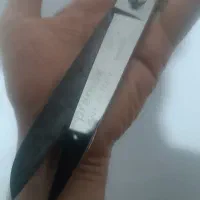 قیچی خیاطی پریمکس|لوازم خیاطی و بافتنی|سبزوار, اسلام آباد|دیوار