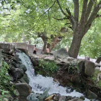 ۵هزار متر زمین با اندکی درخت در شهرستان بافت