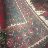 قالی دستباف بدون سوختگی و پارگی|فرش|زابل, |دیوار