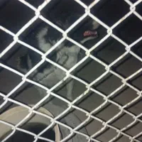 واگذاری سگ قدرجونی|سگ|سیرجان, |دیوار