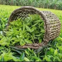 چای بهاره ممتاز