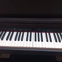 پیانو دیجیتال Albinoni|پیانو، کیبورد، آکاردئون|تهران, بلوار کشاورز|دیوار