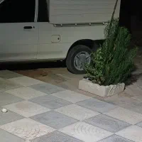 پراید وانت اس درجه یک ۹۹
