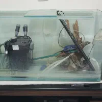 آکواریم سایز بزرگ