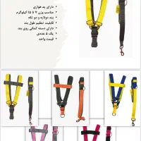 قلاده سگ و گربه|لوازم جانبی حیوانات|تهران, بازار|دیوار