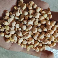 نخود فلافلی