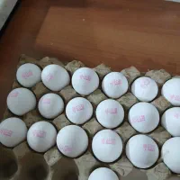 پخش تخم مرغ|خوردنی و آشامیدنی|رباط‌کریم, رباط‌کریم|دیوار