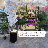 گالری داهلیا ،گل مصنوعی|گل مصنوعی|تهران, شوش (باغ آذری)|دیوار