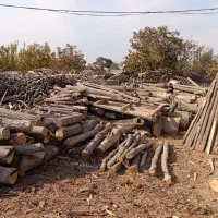 خریدار چوب هیزمی وصنعتی