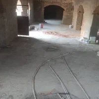 سالن جهت طیور ،پرورش قارچ