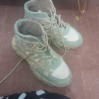 کفش|کیف، کفش، کمربند|تربت جام, شهید مدرس|دیوار