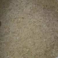 پخش برنج گیلان و مازندران