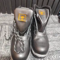 پوتین کار نو