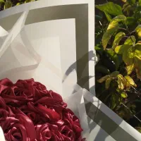 گل جاودان|گل مصنوعی|میانه, |دیوار