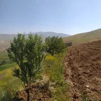 فروش باغ