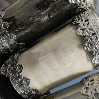 پاسماوری نقره ای