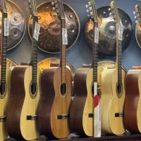 گیتار آگرین با دوسال گارانتی