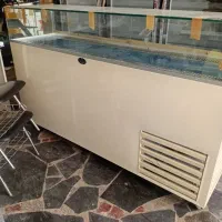 شوکیک طرح رول فرانسوی