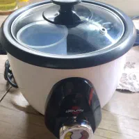 پلوپزدونفره پارس خزر باکارتون درحدنو