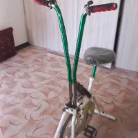 دوچرخه ثابت