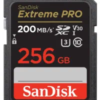 رم Sandisk 256 (سن دیسک 256 گیگابایت)
