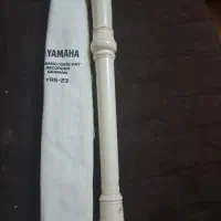 دوعدد فلوت ریکوردر المانی