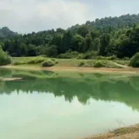 فروش زمین کنار دریاچه و جنگل از ۱۲۰ متر تا ۱۰۰۰متر|فروش زمین و ملک کلنگی|محمودآباد, |دیوار