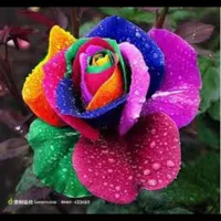 مدارکم گمشده