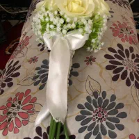 گل عروس و سبد عروس