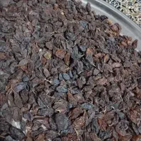 مویز رطبی|خوردنی و آشامیدنی|شیراز, کوشک بیدک|دیوار