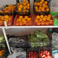 دوباب مغازه اجاره ای