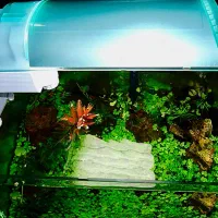 نور اودیسه زیر قیمت نو