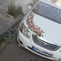 گل ارایی ماشین عروس از ۷۰۰و ست های بله برون|خدمات پذیرایی، مراسم|کرج, شاهین‌ویلا|دیوار