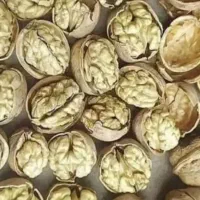 گردو با کیفیت تویسرکان پوست کاغذی|خوردنی و آشامیدنی|محمدشهر, کوی بهار|دیوار