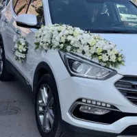 اقتصادی ترین پگ فیلمبرداری و عکاسی