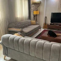 مبل راحتی چستر در حد نو|مبلمان خانگی و میز عسلی|رشت, کاکتوس|دیوار