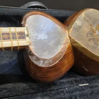 تار مهر روستا ( سرپنجه قنبری)|سازهای سنتی|شیراز, زرگری|دیوار