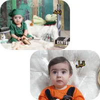 تابلو|تابلو، نقاشی، عکس|اصفهان, باغ فردوس|دیوار