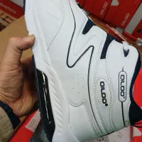 ۳۰۰ جفت تولید کره