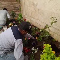 باغبانی سمپاشی هرس کاری تیلرزدن تعویض خاک  گلدان