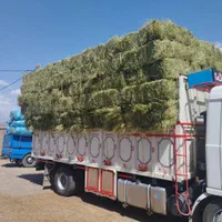 خرید و فروش یونجه|لوازم جانبی حیوانات|نهاوند, |دیوار
