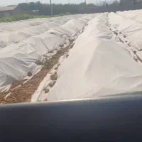 کاور (فوم)کشاورزی