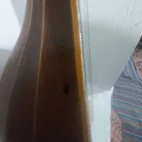 سه تار مهر نوروزیان